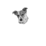 Buddys Burgers